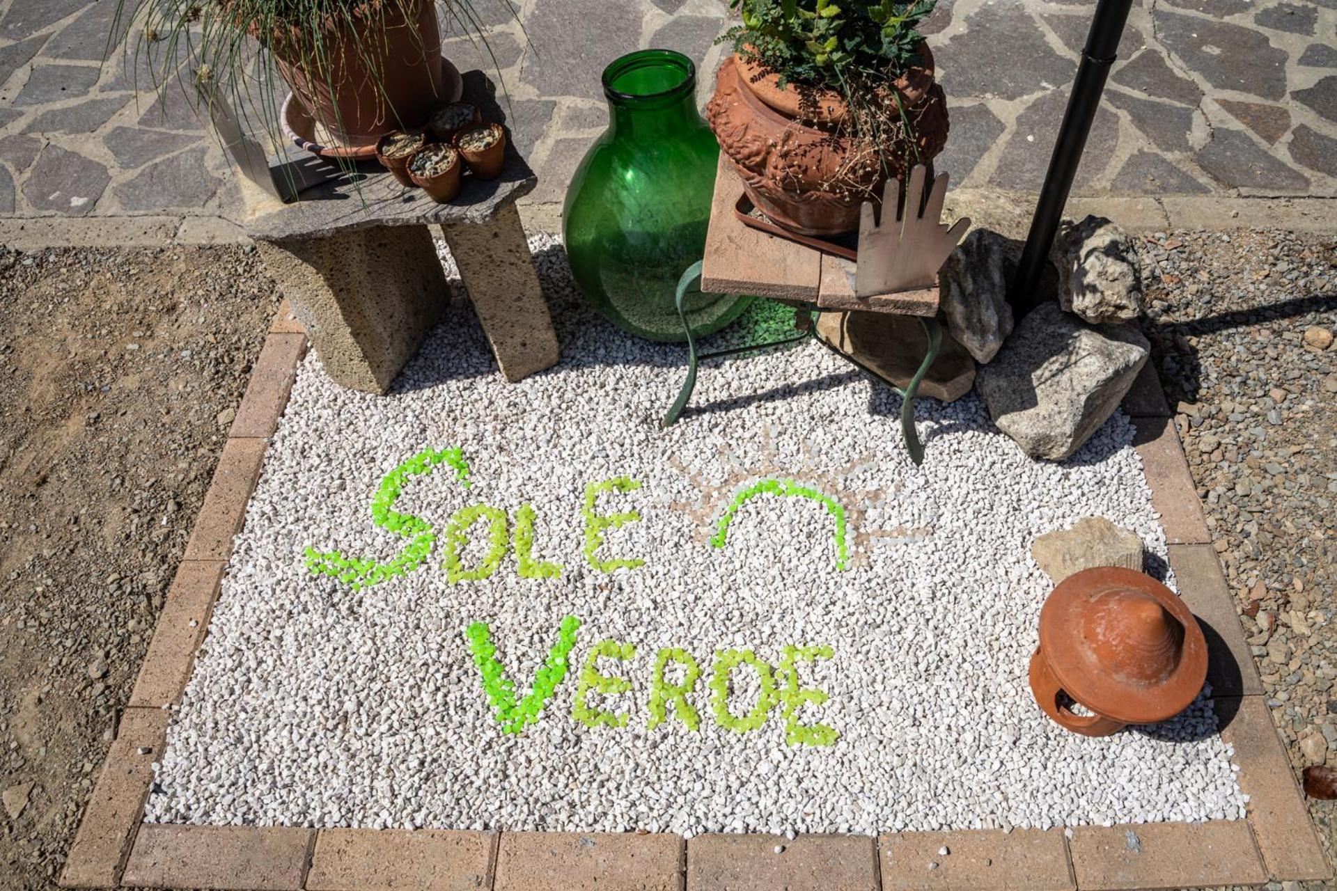 Sole Verde Green House Terricciola ภายนอก รูปภาพ