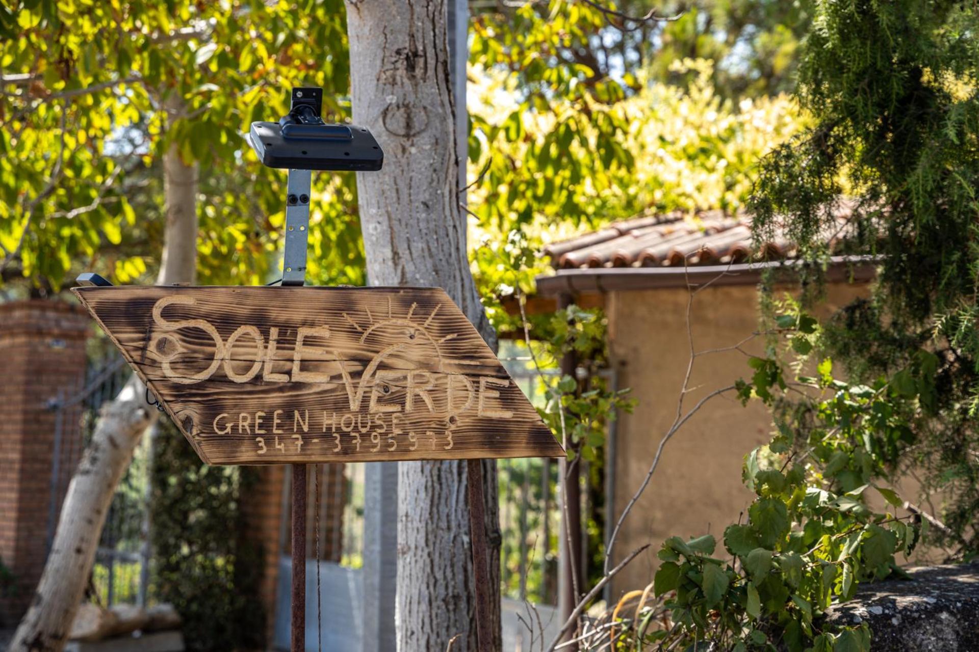Sole Verde Green House Terricciola ภายนอก รูปภาพ